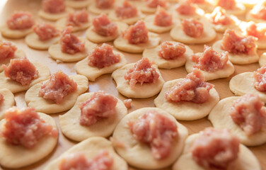 Dumplings that have not yet been molded are laid out on the table: minced meat on the dough. Close up