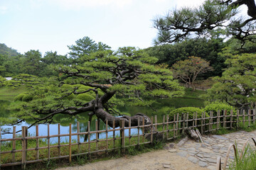 晩夏の栗林公園の庭