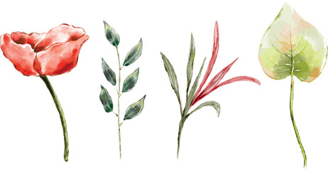Watercolor floral decorative elements