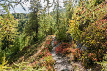 Fototapeta na wymiar Herbstwanderweg