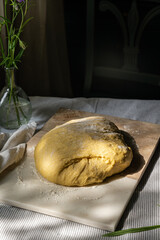 Fresh homemade yeast dough on cutting board.
