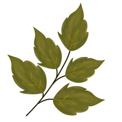 Flower Red Watercolor