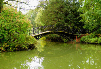 Mostek nad wodą w parku. Pszczyna - obrazy, fototapety, plakaty