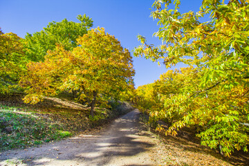 Naklejka premium Genal Valley