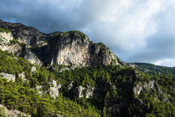 Fototapeta na wymiar High cliffs and forest on the mountain in Mugla Fethiye