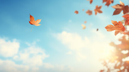 lonely leaf falls in autumn from a tree against a light blue sky, leaf fall on an autumn day background with a copy  space