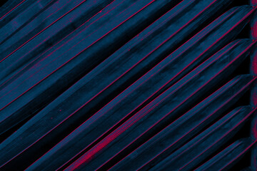 tropical palm leaf, abstract background, neon glow color toned