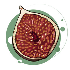Fig delicious fruit vector design. Half fig fruit isolated.