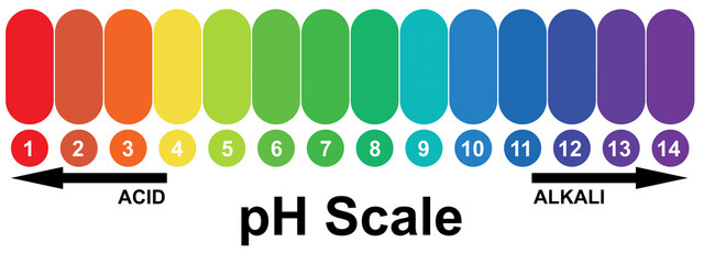 pH alkaline and acidic scale - 659865835
