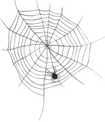 Fototapeta premium Watercolor composition of spider and web, hand drawn, isolated on transparent background