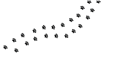 Traces of a Predator Animal. Wild life concept vector.