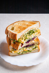 ホットサンドイッチ　Italian popular hot sandwich (panini)