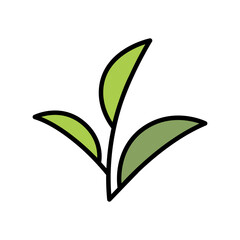 tea leaf icon