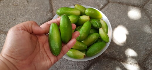 Harvest pile Averrhoa bilimbi or Bilimbi fruits or Belimbing wuluh or belimbing sayur plants. In indonesia use as ingredient cooking