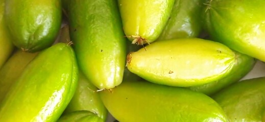 Harvest pile Averrhoa bilimbi or Bilimbi fruits or Belimbing wuluh or belimbing sayur plants. In indonesia use as ingredient cooking