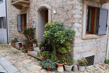 Fototapeta na wymiar Cozy sidewalk garden in Italy