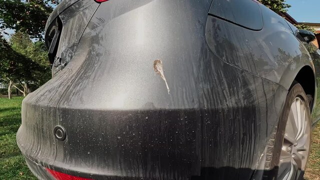 Close-up of a dirty car. Bird poop on a parked automobile