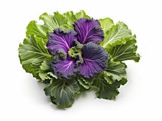Close-up of violet brassica Vegetables on White Background, vegetable and health concept. Generative AI.