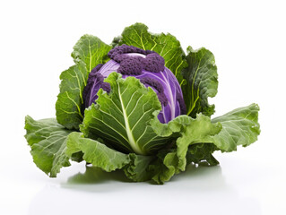 Close-up of violet brassica Vegetables on White Background, vegetable and health concept. Generative AI.