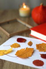 Naklejka na ściany i meble Paper with pressed colorful leaves, book, scissors, pencils, picture frame, scented candle and decorative pumpkin on the table. Making autumnal themed herbarium at home. Selective focus.