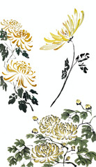 Yellow chrysanthemums. Mums. Tết (painted with ink and Chinese watercolors on xuan paper, oriental style). Texture of paper and brush strokes - intact. Background`s been removed