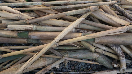 Bamboo in the wall of the old house, Indonesia. Background.