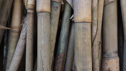 Bamboo in the wall of the old house, Indonesia. Background.