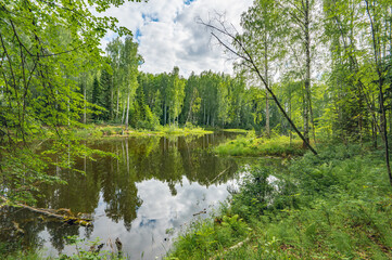 Summer river landscape with beautiful birches on the shore. Chusovaya River, Ural, Russia - 659888240