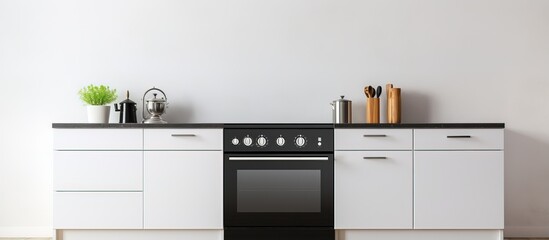 Contemporary kitchen with electric and gas stoves sleek minimalist design - obrazy, fototapety, plakaty