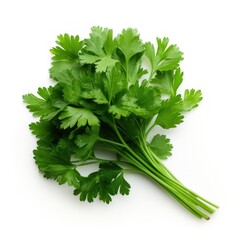 Parsley on a white background. 