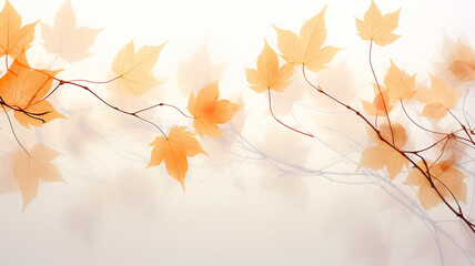 white background with copy space yellow autumn leaves layer postcard.