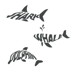 shark, whale and dolphin texts in the shape of animals, lettering isolated on white background