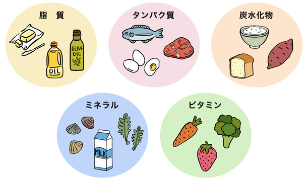 五大栄養素　食品
