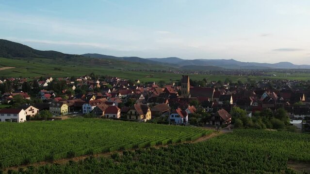 Aerial view above the beautiful French village of Bergheim and its surrounding vineyards - Alsace, France