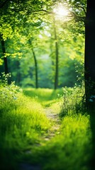 Picturesque photo of a field or meadow: Summer Beautiful spring perfect natural landscape...