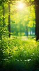Picturesque photo of a field or meadow: Summer Beautiful spring perfect natural landscape...