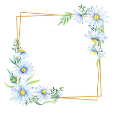 Gold square frame with apothecary chamomile flowers. Floral border of daisies, watercolor illustration   