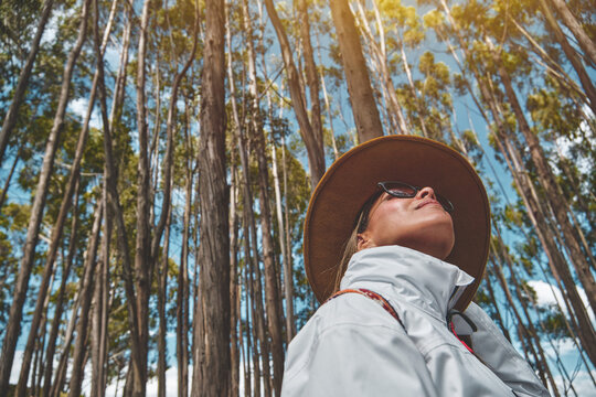 Tourist exploring Eucalyptus forest near qenqo in cusco Peru, Trees cover sun and sky in the city of Cusco