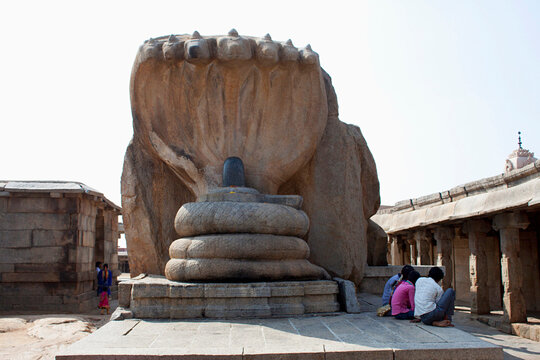 Nagalingesvara, seven-hooded Naga with a  black polished lingam. Veerabhadra temple courtyard, Lepakshi,  Andhra Pradesh, India