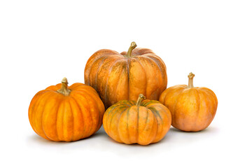 Nutmeg pumpkins on a white background with space for text