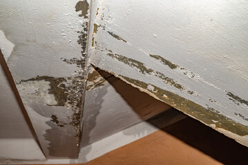 Flooding rainwater, causing damage, peeling paint and mildew.