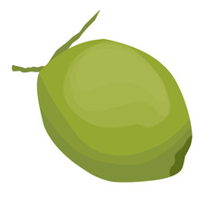 Green young coconuts 