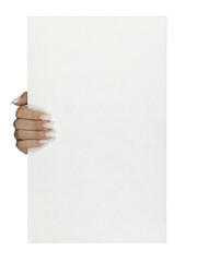 Adult female hand with long square ombre manicured nails, holding up a rectangular white board with copy space. Isolated cutout on a transparent background. © Nynke