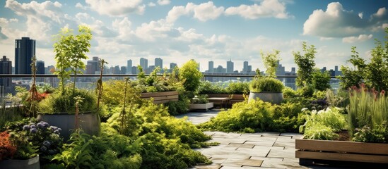Urban rooftop garden With copyspace for text - obrazy, fototapety, plakaty