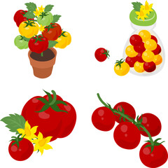植木鉢やピクルスなどの、新鮮でジューシーなトマトのアイコン