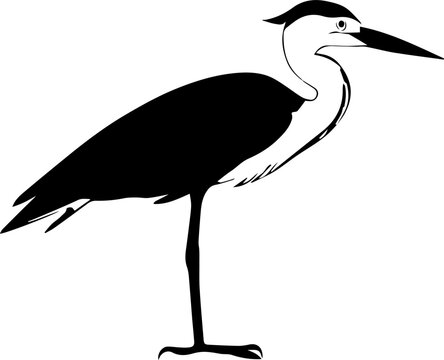 Grey Heron icon 1