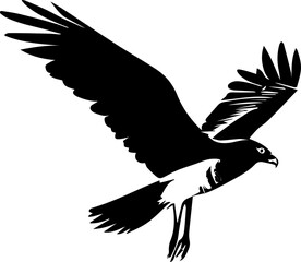 Obraz premium Harrier icon 4