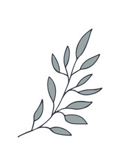 Twigs with leaves isolated on a white background. Vector hand drawn illustration. Ideal for cards, logos, decorations, invitations, cosmetic design. Vector illustration