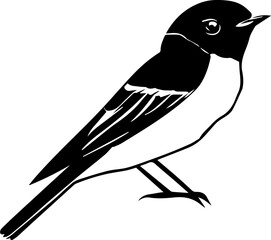 Hammonds flycatcher icon 1