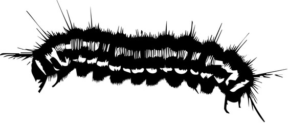 Gypsy Moth Caterpillar icon 4